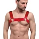 Мужская портупея на грудь кожаная Feral Feelings Bulldog Harness One Size Красная - изображение 3