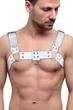 Мужская портупея на грудь кожаная Feral Feelings Bulldog Harness One Size Белая - изображение 1