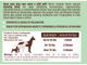 Успокаивающие витамины для собак Natural Dog Company Calming Supplement (90 шт в банке) - изображение 3
