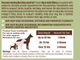 Витаминный комплекс для суставов и связок собак Hip&Joint Natural Dog Company 90шт в банке - изображение 2