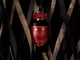 Парфюмированная вода унисекс Penhaligon's Halfeti Leather 100 мл - изображение 5