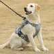 Нейлоновый тактический жилет для собак Nylon Heavy Duty Dog Tactical Vest Grey M Серый - изображение 6