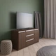 Комод с 3 ящиками и 2 дверцами R 15 VAYS Венге, планки белые 140х40х75 см - изображение 1
