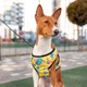 Шлея для собак мягкая WAUDOG Clothes с QR паспортом, рисунок "Рик и Морти 3", размер S2 (2906-0282) - изображение 5