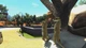 Zoo Tycoon: Ultimate Animal Collection Xbox Ключ - изображение 2