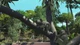 Zoo Tycoon: Ultimate Animal Collection Xbox Ключ - изображение 4