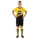 Форма футбольная детская Borussia Dortmund Боруссия SP-Planeta 6264 размер S (22) рост 120-125см Yellow-Black - изображение 7
