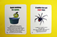 Карткова гра Fun Card English Halloween, Creativo - изображение 8