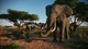 Ключ активации Planet Zoo: Console Edition для Xbox Series S/X - изображение 2