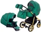Коляска 2 в 1 Adamex Hybryd Plus Polar (Gold) Кожа 100% Y216А зеленый перламутр - изображение 1