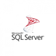 ПО для сервера Microsoft SQL Server 2022 - 1 User CAL Charity, Perpetual (DG7GMGF0MF3T_0002CHR) (198580) - изображение 1