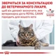 Сухой корм для котов Royal Canin Hypoallergenic 2.5 кг 3902025 - изображение 2