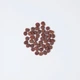 Сухой корм Carnilove True Fresh Cat для взрослых кошек, с индейкой, 1,8 кг - изображение 2