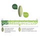 Вітаміни Amway Nutrilite Vitamin B Dual-Action (120 шт) - зображення 7