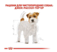 Сухой корм для собак породы джек рассел терьер Royal Canin Jack Russell Terrier 1.5 кг 2100015 - изображение 5