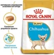 Сухой корм для щенков чихуахуа Royal Canin Chihuahua Puppy 500 г 24380051 - изображение 4