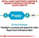 Сухой корм для щенков чихуахуа Royal Canin Chihuahua Puppy 500 г 24380051 - изображение 5