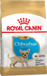 Сухой полнорационный корм Royal Canin Chihuahua Puppy от 2 до 8 месяцев 1.5 кг 24380151 - изображение 2