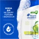 Шампунь Head & Shoulders Яблучна свіжість Проти лупи 250 мл (8006540063248) - изображение 8