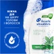 Шампунь проти лупи Head & Shoulders Свіжість ментолу 400 мл (5011321336094) - изображение 7