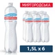 Минеральная вода Миргородська Лагідна 1.5 н/газ пет (4820000431026) (199665) - изображение 1