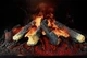 Электрокамин паровой Royal 3D Inferno LED с настоящим 3D эффектом пламени, дровами и звуком, размер 570x205(+140)x303 - изображение 7