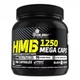Послетренировочный комплекс HMB 1250 Mega Caps, 300 капсул Olimp (2000002866992) - изображение 1