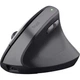 Мишка Trust Bayo 2 Ergonomic Wireless/USB-A Black (25145) - изображение 1