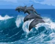Картина по номерам Origami Дельфины в море LW 3080 40*50 производство Украина - изображение 2