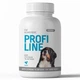 Витамины для собак Provet Profiline ГАГ комплекс для суставов и связок 100 таб (MLZ11140) - изображение 1