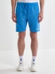 Шорты хлопковые короткие мужские Big Star Marquel S Голубые (5900714763336) - изображение 1