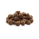 Сухой корм Brit Premium Dog Adult M для взрослых собак средних пород, с курицей, 3 кг - изображение 2