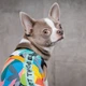 Борцовка Pet Fashion «Cool» для собак, размер XS2, с принтом - изображение 4