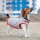 Жилет Pet Fashion Fleecy для собак сірий/червоний S - зображення 4