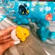 Іграшка, що зростає, в яйці «Ocean Eggs» - ПОВЕЛИТЕЛІ ОКЕАНІВ І МОРІВ (в асорт., в диспл.) - изображение 2