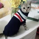 Вязаный акриловый свитер для собак Pet Style "Синяя с полосами" XS - изображение 4