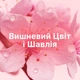 Кондиціонер для білизни Lenor Вишневий цвіт і шавлія 700 мл (8700216326698) - зображення 7