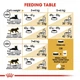Сухий корм Royal Canin British Shorthair Adult для британських короткошерстих котів 8+2 кг - зображення 4