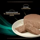 Влажный корм для кошек Purina Pro Plan EN Gastrointestinal для уменьшения расстройств кишечной абсорбации и кормления в период восстановления, выздоровление мусс 195 г (8445290093004) - изображение 8