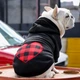 Худи для котов и кошек Pet Style "Сердце" M - изображение 7