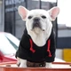 Худі для котів Pet Style "Серце" XS - зображення 6