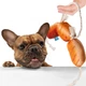 Игрушка для Собак Barksi с канатом Сосиски - изображение 4
