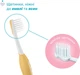 Зубная щетка Chicco First Milk Teeth 6-36 мес Голубая с желтым 2 шт (12082.11) (8058664174713) - изображение 3