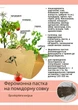 Феромонная ловушка на томатную совку-Spodoptera exigua (ловушка + феромон) - изображение 1