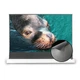 ALR екран для проектора VividStorm S Obsidian Long Throw ALR, 100" (White) - зображення 1