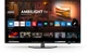 Телевизор Philips 55" 55PUS8919/12 - изображение 2