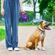 Поводок-рулетка для собак WAUDOG R-leash с контейнером для пакетов, светоотражающая лента, L, до 40 кг, 5 м, фиолетовый - изображение 8