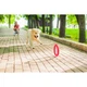 Кільце для апортировки PitchDog 20 см рожеве іграшка для собак композитний полімер для активних ігор (590360) - зображення 4
