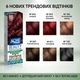 Упаковка тонирующей краски-ухода Acme Color Beauty Phyto Color №105 Клубничный блонд 65 г х 2 шт (ROZ6400230627) - изображение 5