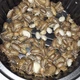Аргентинские тараканы ( Blaptica Dubia ) - Живые кормовые насекомые для рептилий, птиц, ежей, гекконов, насекомоядных животных 0,5-1 см 50 шт - изображение 2